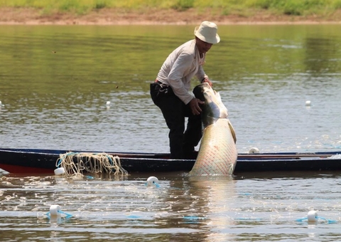 Semana Santa em Manaus tem edição especial da Feira do Pirarucu na FAS 