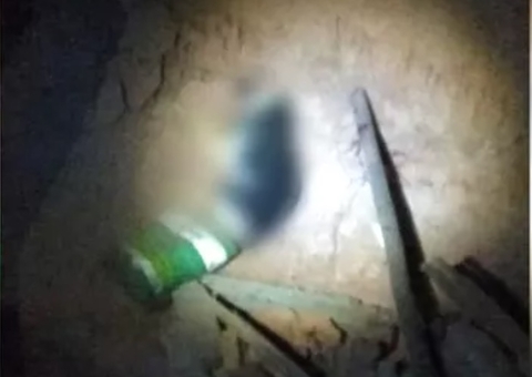 Homem é preso suspeito de matar cadela a pauladas