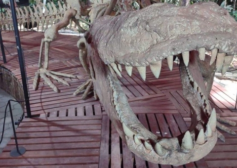Com fósseis inéditos e maior crocodiliano do mundo, Musa inaugura exposição