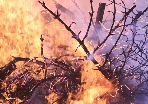 Desmatamento da Amazônia em março bate recorde e é o maior dos últimos seis anos