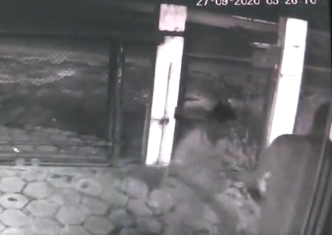 Polícia divulga vídeo de assalto a empresa de embalagens em Manaus 