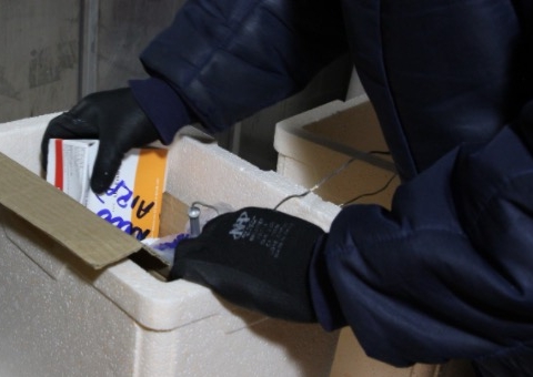 34 municípios do Amazonas ainda não enviaram dados de vacinação ao TCE 