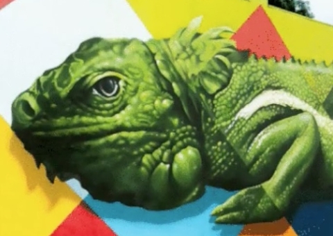 Mural que custou R$ 400 mil desmancha quatro meses após inauguração em RR