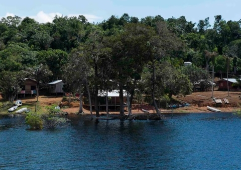 Eventos online e gratuitos celebram o Dia Internacional da Terra