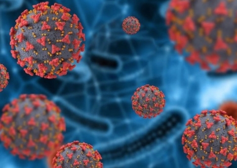 Estudo sobre variantes indica que P1, descoberta em Manaus, predomina no RJ