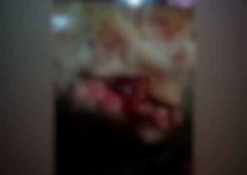 Vídeo mostra momento em que homem arranca vísceras de desafeto em Manaus