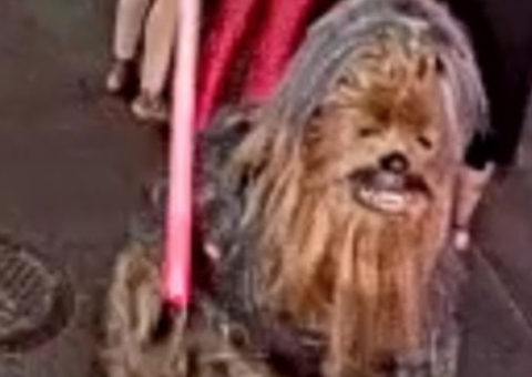 Homem vestido de Chewbacca é procurado após esfaquear pessoa nos EUA