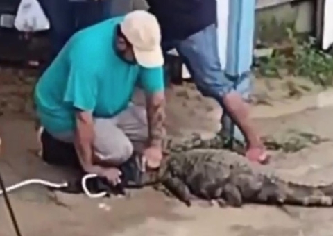 Vídeo: Jacaré aparece após forte chuva e assusta moradores em Manaus