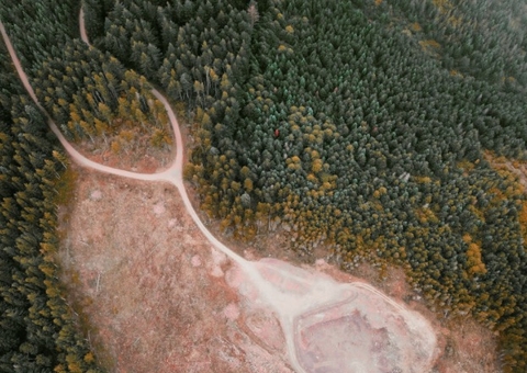 Desmatamento da Amazônia em abril de 2021 é o maior da série histórica, mostra Inpe