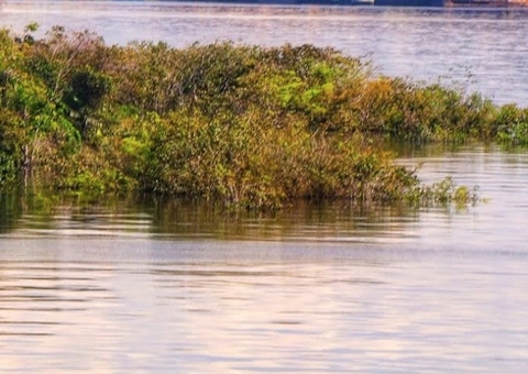 Cheia em Novo Airão deve ser a maior dos últimos 100 anos
