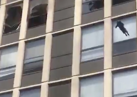 Gata pula do 5º andar de prédio para fugir de incêndio e sai ilesa; vídeo