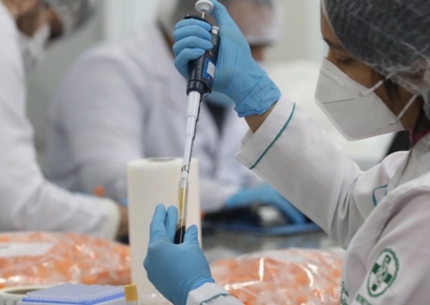 Anvisa aprova estudo de medicamento contra covid feito com células-tronco