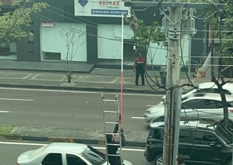 Bicho-preguiça fica preso em fios de alta tensão em avenida de Manaus