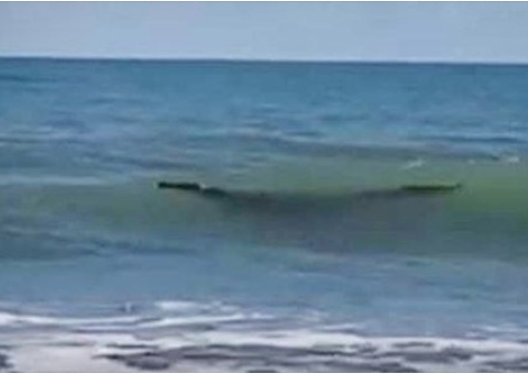 Pescador vê ‘tronco’ flutuando e tem surpresa enorme e assustadora; veja