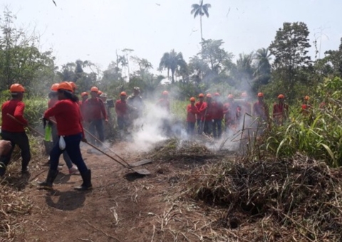 Secretaria de Meio Ambiente abre 240 bolsas para brigadistas no Amazonas
