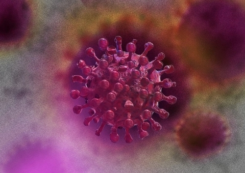 Rio de Janeiro confirma variante Alpha do novo coronavírus no estado