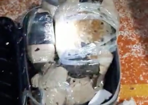 Quatro pessoas são presas com 43 quelônios em embarcação no Amazonas