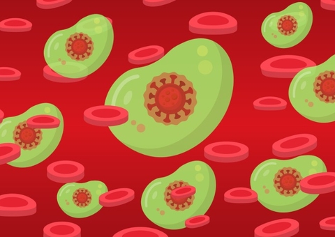 Estudo: anticorpos de quem teve covid-19 não protegem contra variante