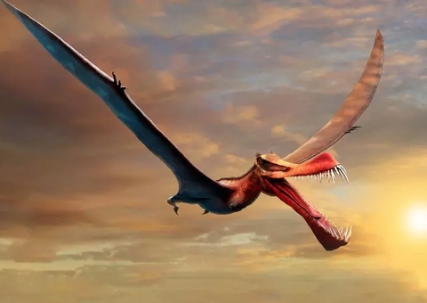  Fóssil de réptil voador parecido com 'dragão' é descoberto na Austrália