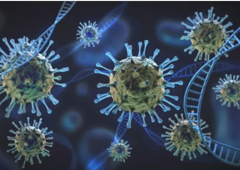 Variante Delta é registrada em 13 estados e no Distrito Federal 