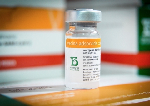 Anvisa avalia aplicação da CoronaVac em crianças e adolescentes 