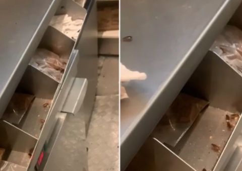 Vídeo mostra quiosque de sorvetes do McDonald's infestado de baratas