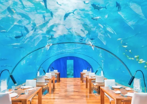Conheça restaurantes submersos no oceano de cenário encantador