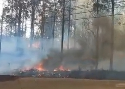 Avião caiu em área de mata no interior de São Paulo; Vídeo 