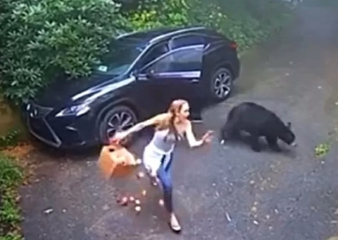 Mulher encontra urso dentro de seu carro e toma um susto; Confira o vídeo 