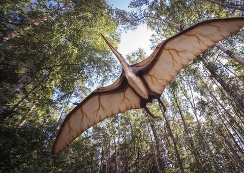 Estudo britânico identifica duas novas espécies de dinossauros