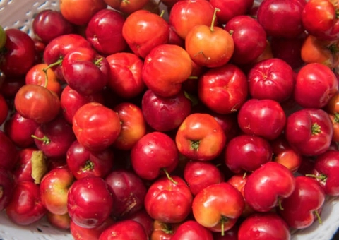 Rica em Vitamina C, acerola combate sintomas da menopausa