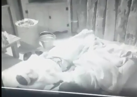 A Fazenda 13: Rico finge convulsão e assusta peões na baia 