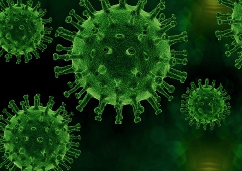 Mais da metade das cidades brasileiras não registraram mortes por Covid-19