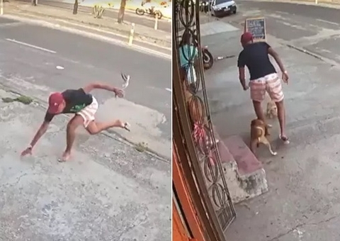 Criminoso desiste de assalto ao ser mordido por cachorro e quebrar chinela