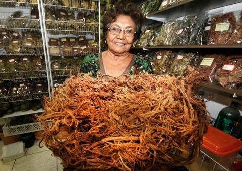 Uxi amarelo e unha de gato são poderosos contra cistos e endometriose