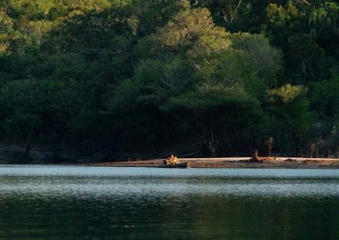 ‘Encontro Amazônico da Biodiversidade’ começa hoje no Pará
