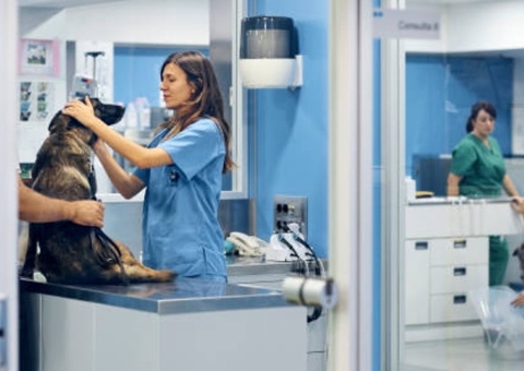 Vereador propõe criação de hospital público veterinário em Manaus