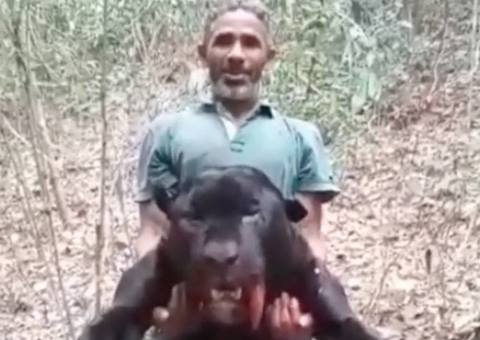 Homem exibe onça-preta morta em vídeo chocante e acaba preso; vídeo