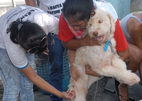 Semsa abre processo seletivo para contratação de 250 vacinadores com salário de R$ 1,1 mil
