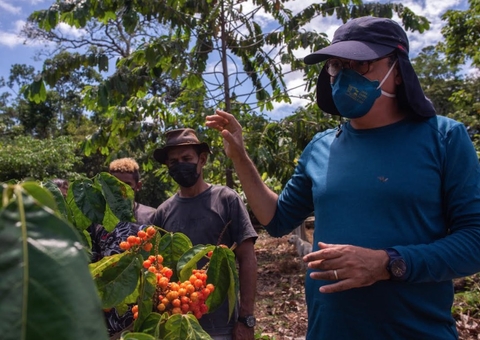 Programa Olhos da Floresta vai atender 16 municípios do Amazonas