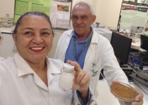 Farinha e gelatina feitos com resíduos do pescado pelo Inpa ganham Prêmio SDSN Amazônia