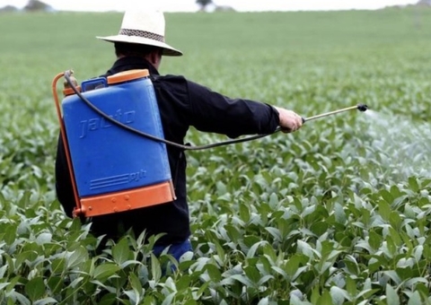 Amazonas tem áreas afetadas por agrotóxicos e fazendeiros são suspeitos 