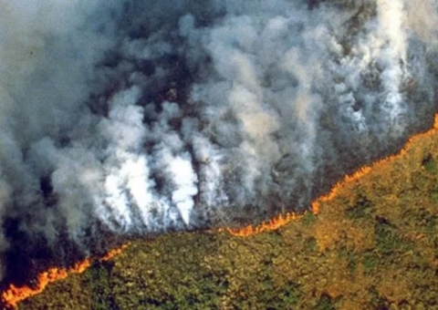 Desmatamento vai explodir na Amazônia com aprovação de PL do licenciamento