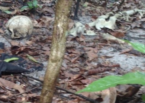 Ossada humana é encontrada em área de mata atrás de hospital de Manaus