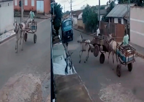 Carroça com cavalo desgovernado atropela carroceiro e deixa idoso ferido; vídeo