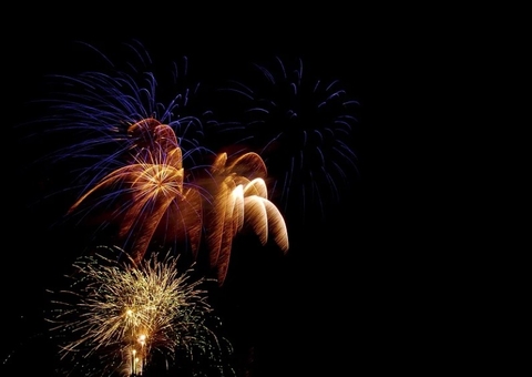 Entenda por que fogos de artifício assustam cachorros e gatos