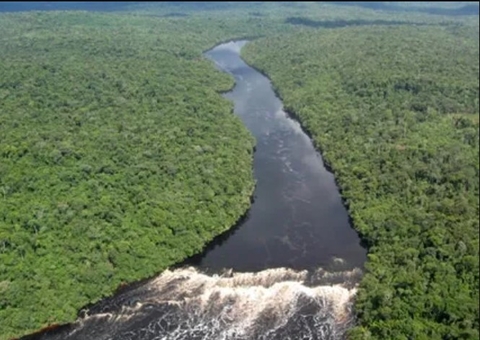 Avanço do mar deixa açaí salgado e ribeirinhos sem água na foz do Amazonas