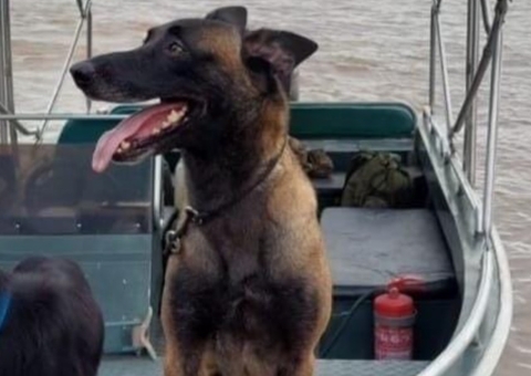 Cadela 'Honda' da PM é atacada por onça e morre ao defender equipe policial em Urucará