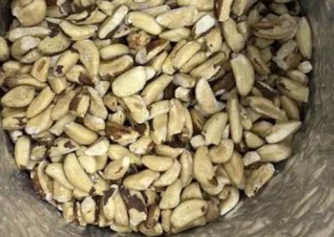 Receita Federal apreende castanha com maconha em aeroporto de Manaus 