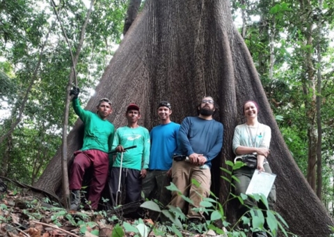 Extração sustentável de óleos essenciais é alvo de estudos na Reserva de Mamirauá